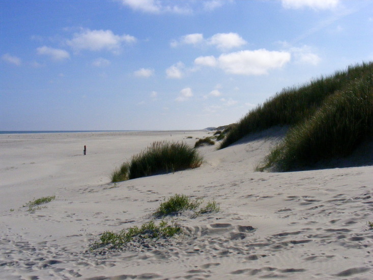 Hoe wijds het strand is...