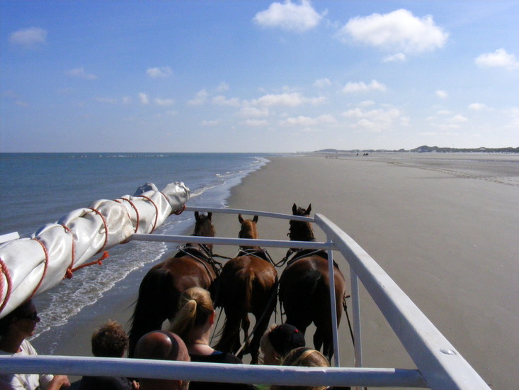 Op weg naar de boschplaat