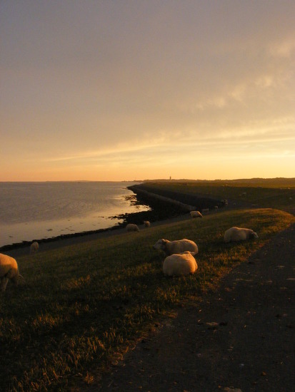 Avond op de dijk