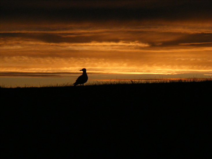 Hemel in vuur en vlam