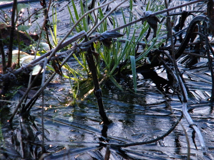 Een dun vliesje ijs..