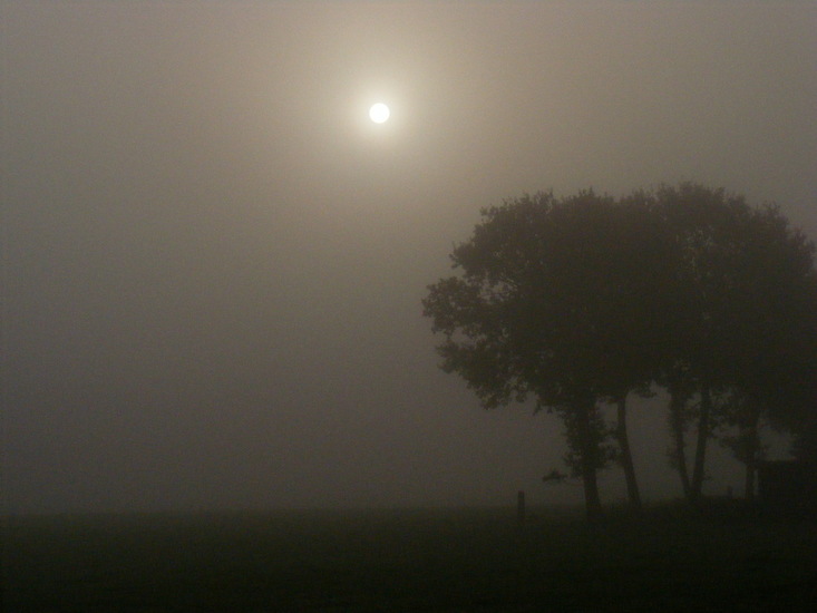 Vroege mistige morgen.