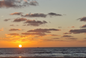 Woonachtig  in de  IJmond ben  ik veel  in WAZ te vinden strand en zee lokken me,  chillen, uitwaaien, golfsurfen doe ik graag.