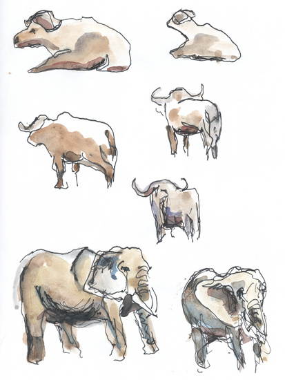 Buffels en olifanten