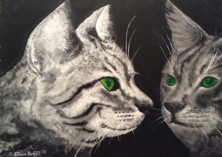 Poes in spiegelbeeld