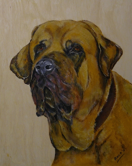 Mastiff
