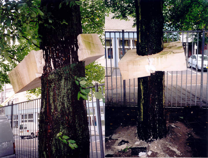 Rotterdam tree 4 and 5 / White elements / After time