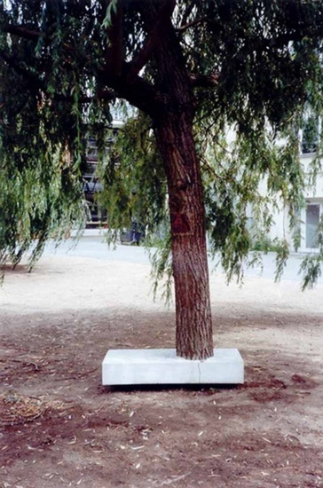 WHITE ELEMENT 001 Berlin Tree 01