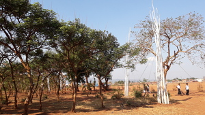 Art installation specially made for Tumaini Festival 2018. 8 white bundels of white painted tree branches where standing as a memorial for the fallen trees by deforestation world wide, Malawi and Dzaleka. It is also a minimalistic site specific art installation. The branches will be donated to the people of Dzaleka.