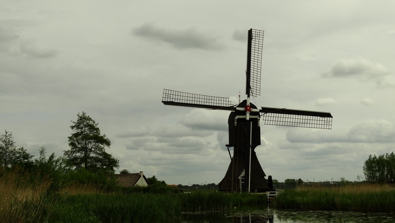 Molen