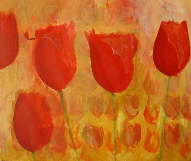 tulpen 24