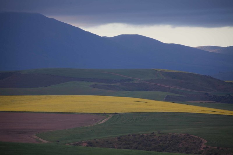 Landschap in kleur