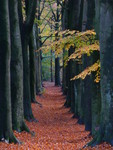 Zonder natuur is 't geen leven