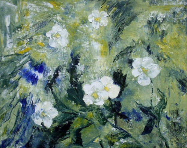 Zinderende Helleborus