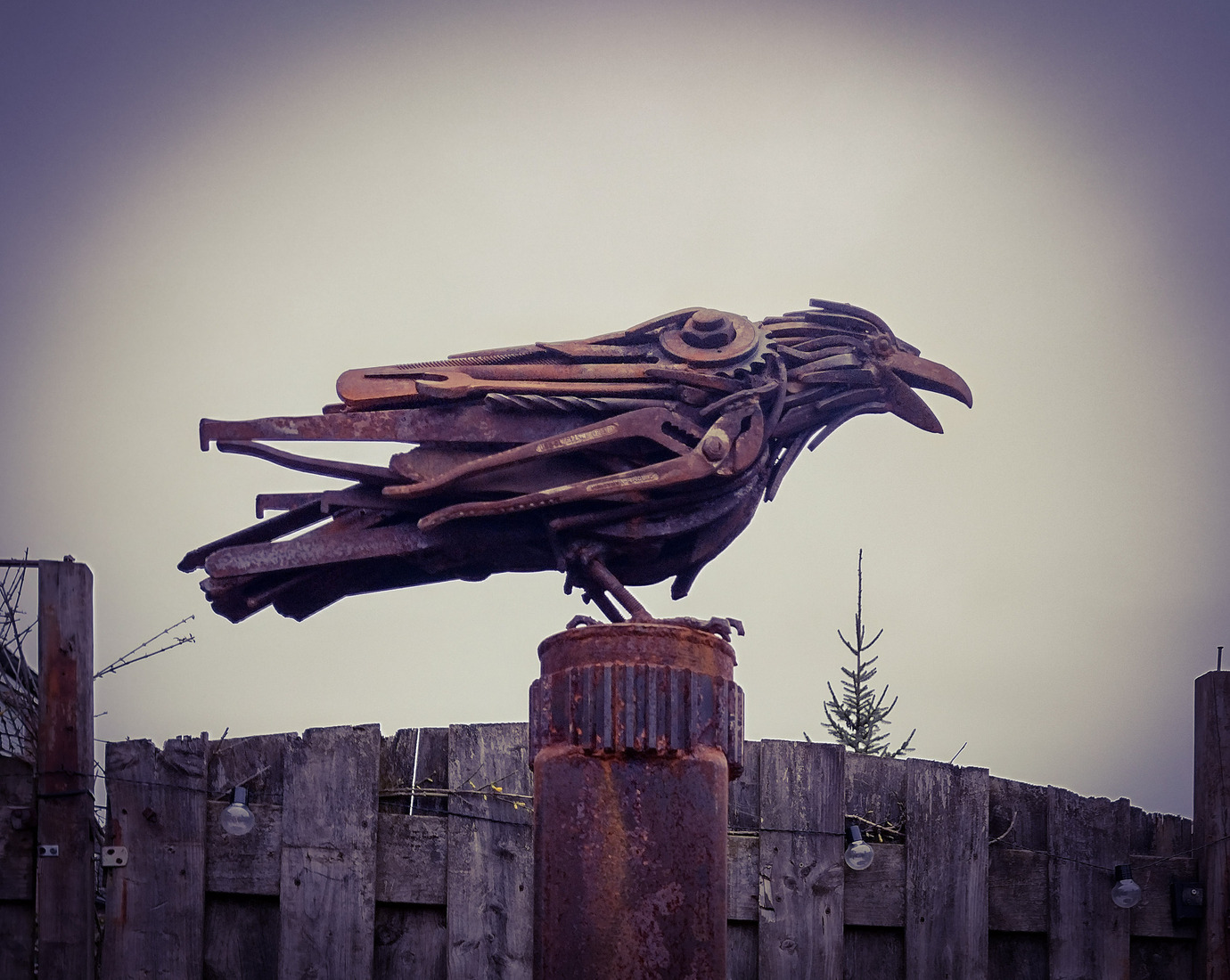 The rusty Raven