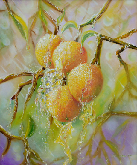 Sinaasappelen in de regen