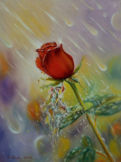 Een roos in de regen