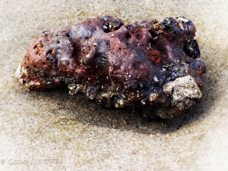 Kunst in de natuur 1