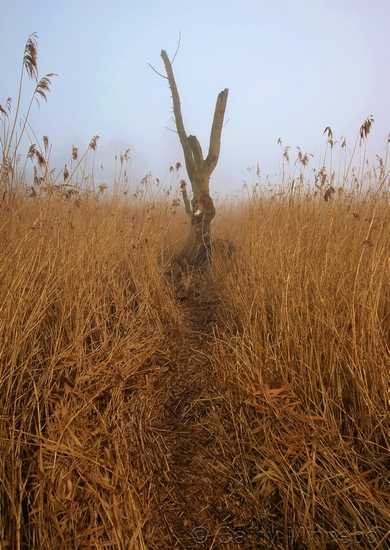 Kunst in de natuur 4