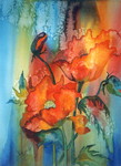 Aquarellen bloemen - allen ingelijst
