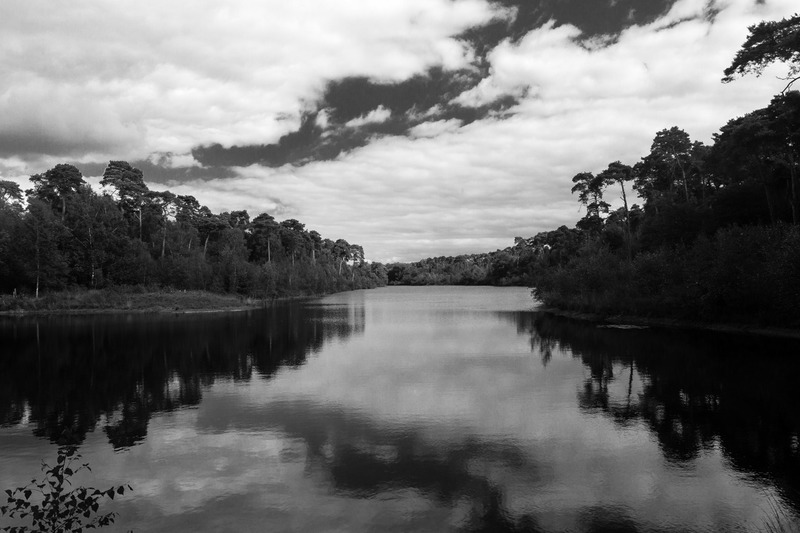 Van Esschenven (Oisterwijk)