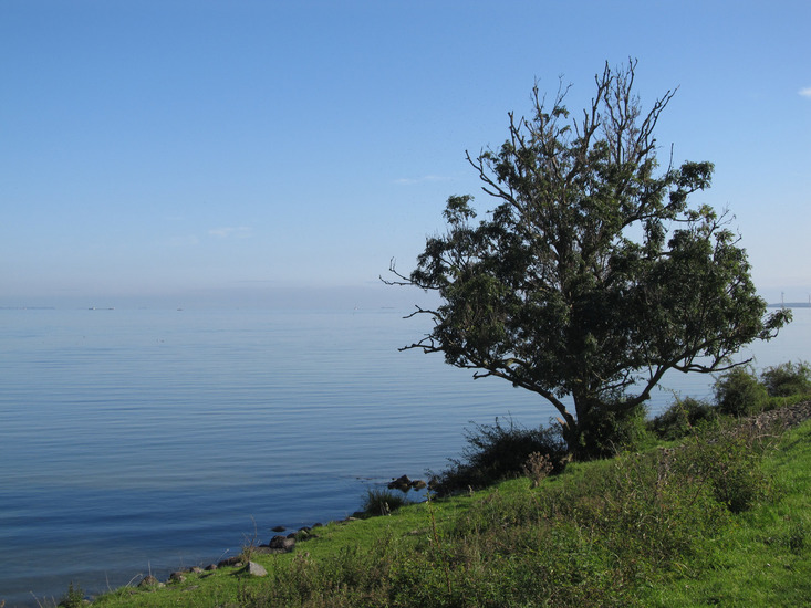 Langs het IJsselmeer (Muiden)
