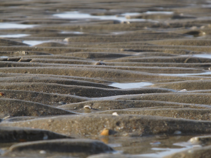 Strand bij Bloemendaal