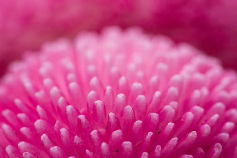 Oisterwijkse Bossen en Vennen (Oisterwijk)