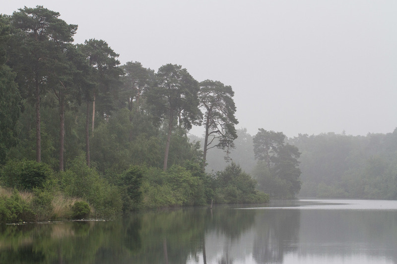 Oisterwijkse Bossen en Vennen (Oisterwijk)
