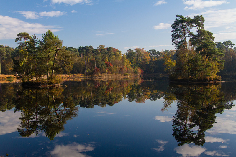 Herfst in de Oisterwijkse Bossen
