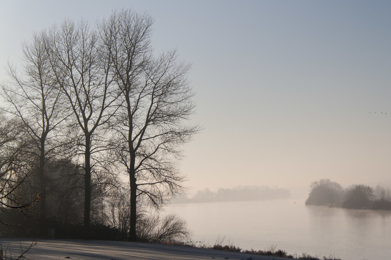 Winter langs de Maas (Wellerlooi)