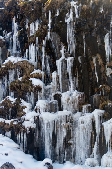 Svartifoss (IJsland)