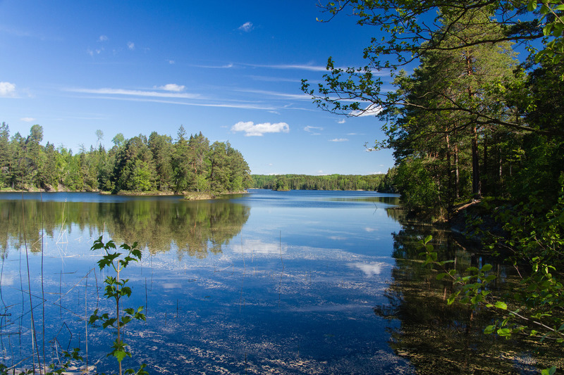 Ärr, Sörknatten natuur reservaat (Zweden)