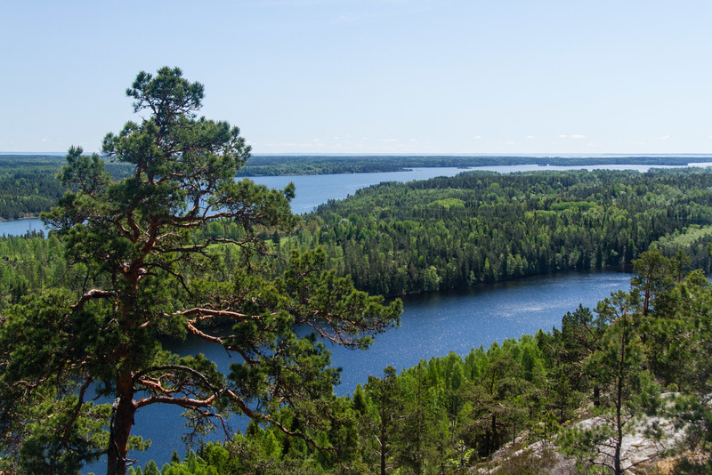 Sörknatten natuur reservaat (Zweden)