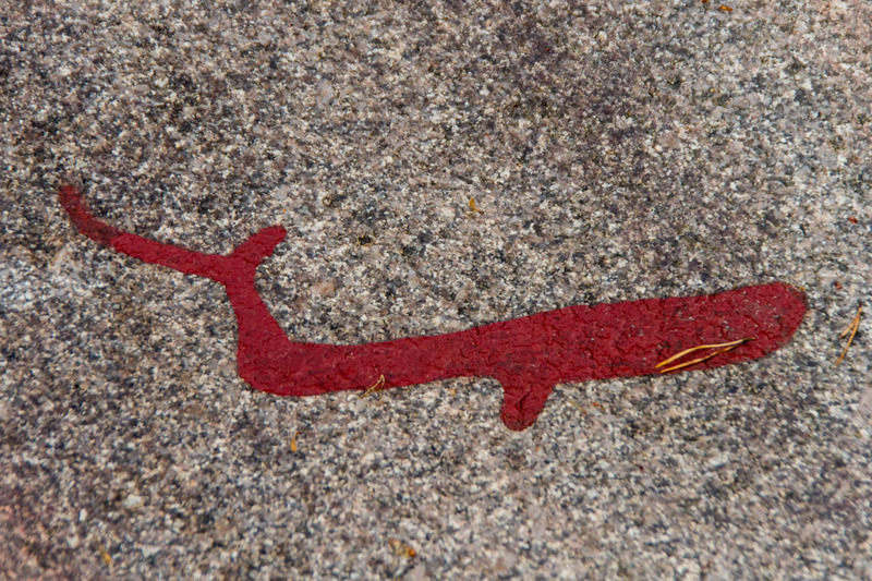 Vitlycke, Tanumshede (Zweden)