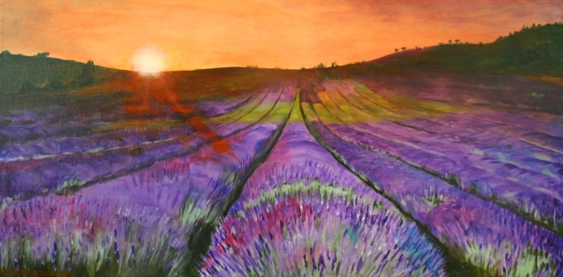 Ondergaande zon over lavendelakker