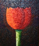 Bloemen