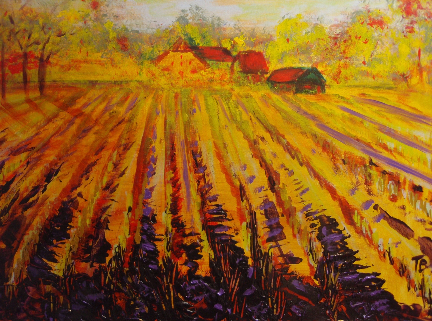 Boerderij in het bos