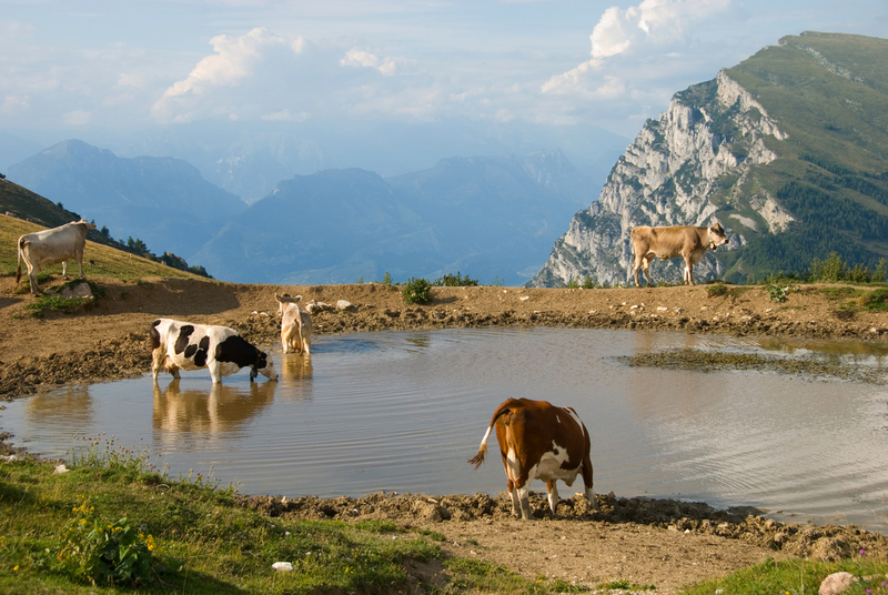 Monte Baldo Gardameer