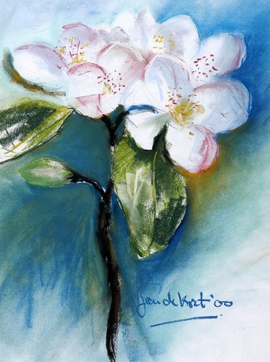 Witte appelbloesemtak