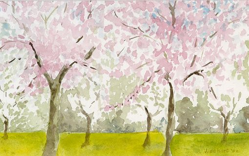 Lente in de Betuwe