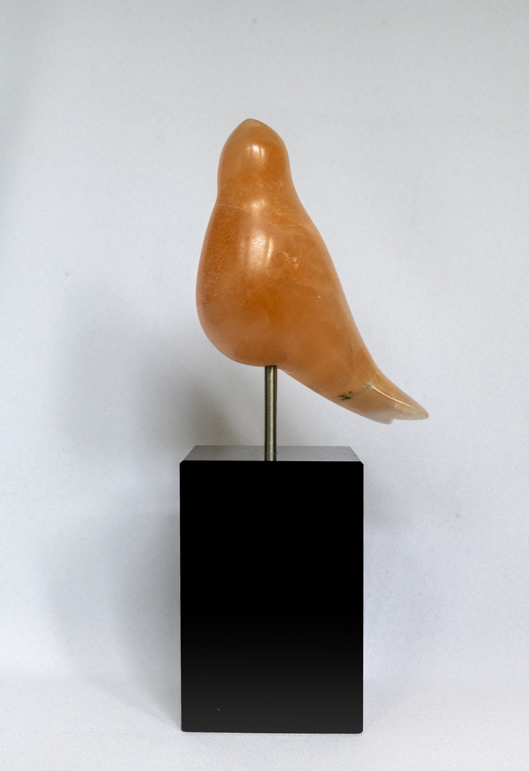 Wolke Vogeltje