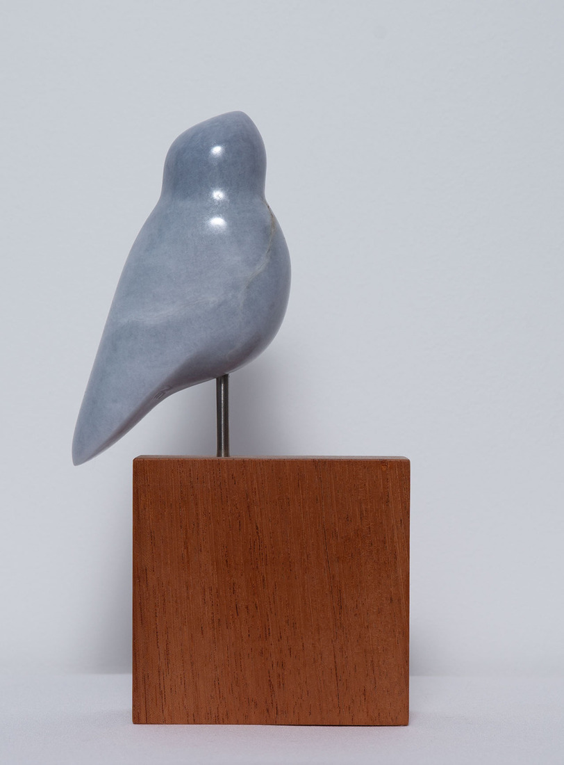 Vogel blauw Scharrelaar. Free Ranger