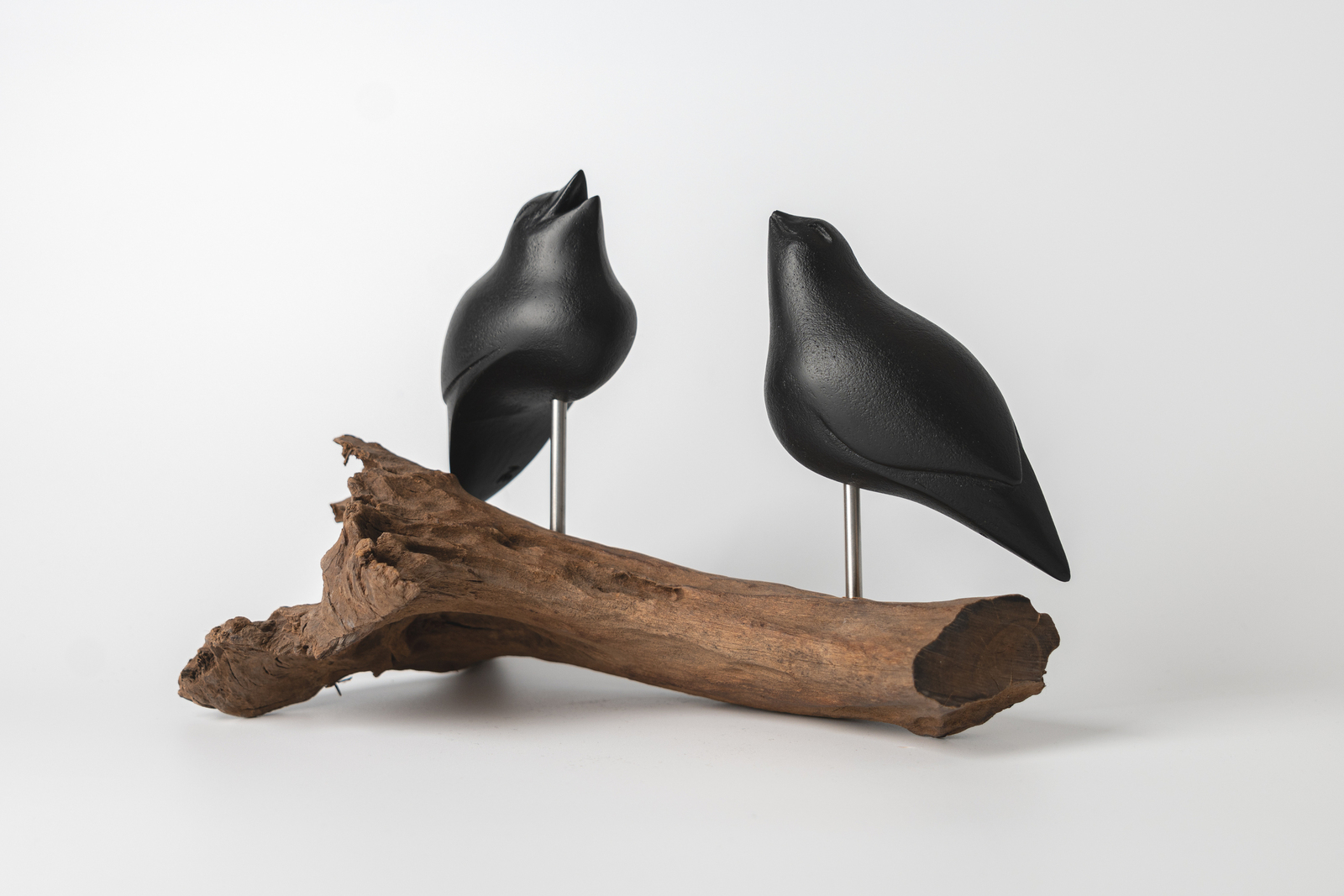 Love Birds koppel. Nov. 2025