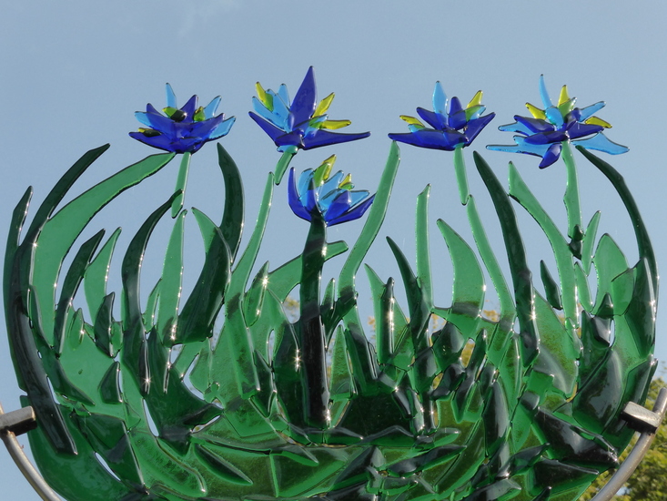 bloemen groot formaat