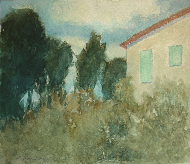 behind the house