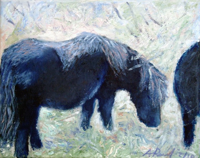 Ponies in the dunes 2