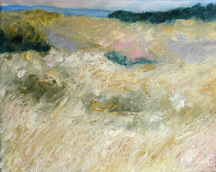 in the dunes