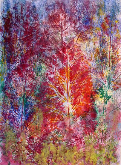 Heart of the Forest