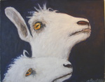 live and dead creatures, still lifes